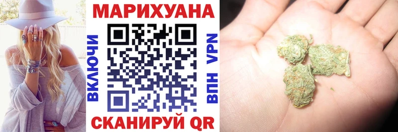 как найти наркотики  Городовиковск  Бошки марихуана план 